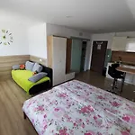 Bernard Apartma Bled
