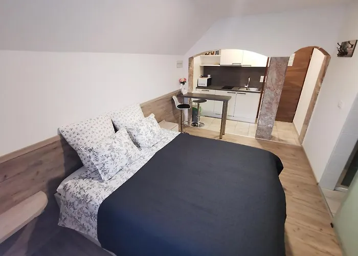 Bernard Apartman Bled